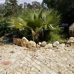 Agrialma אגריג'נטו