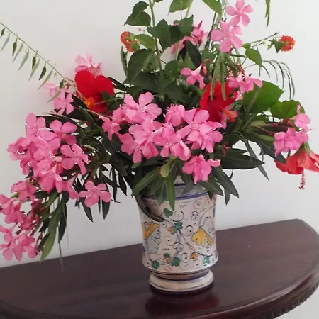 Maison d'hôtes Agrialma