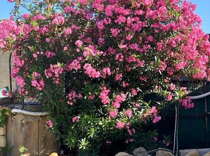 Agrialma 阿格里真托