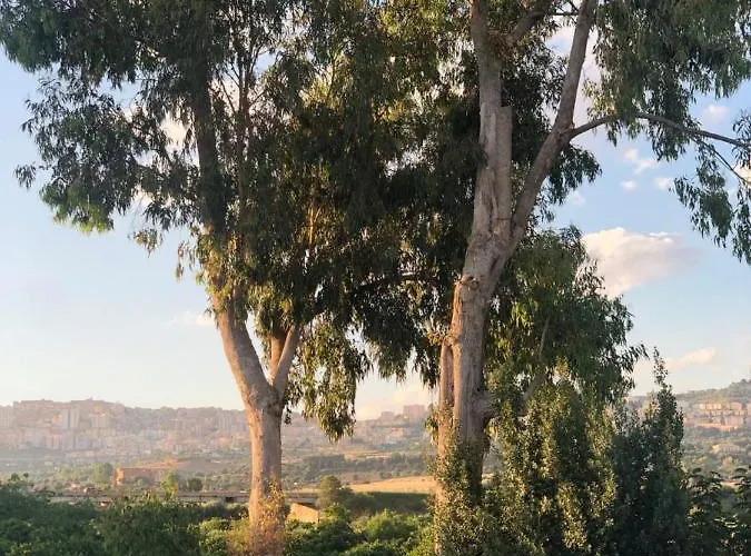 招待所 Agrialma 阿格里真托