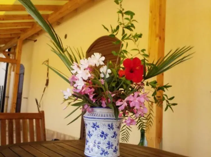 Agrialma Guest house