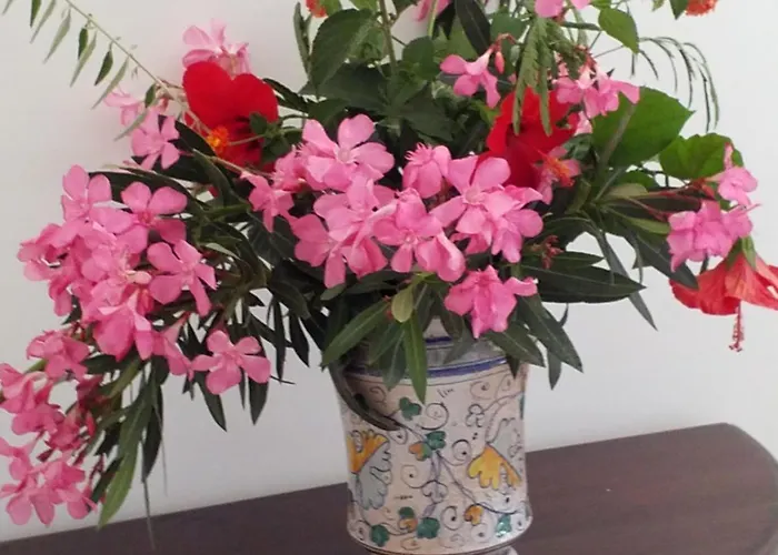 Guest house Agrialma